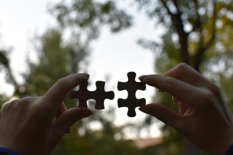 Image of two puzzle pieces