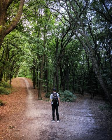Man standing in front of two paths