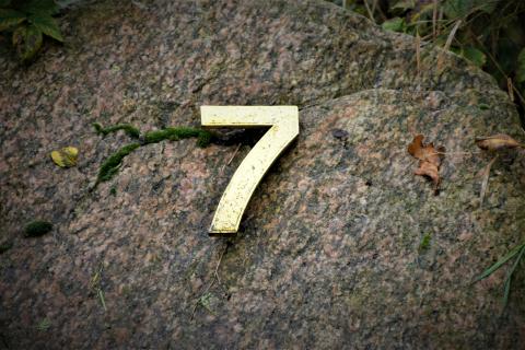 Image of the number 7